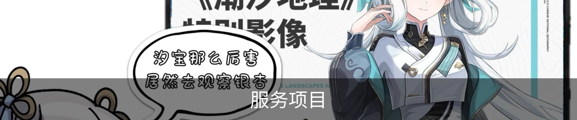 服务项目