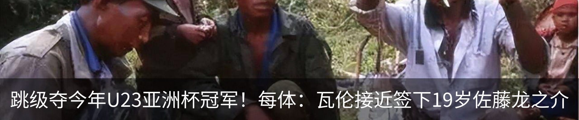 新闻动态